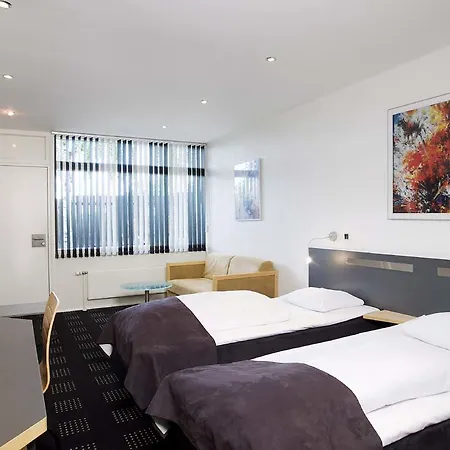 Hedegaarden 바일레