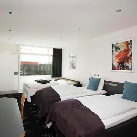 فندق Hedegaarden 3*
