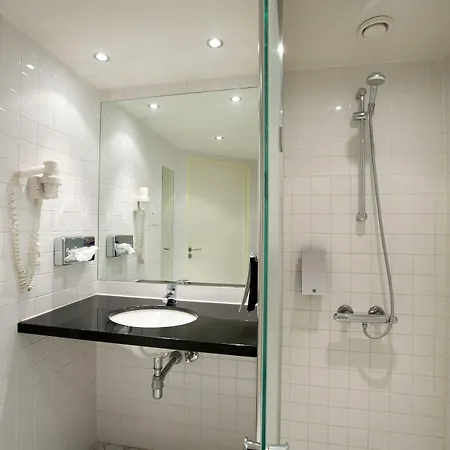 Hedegaarden 바일레