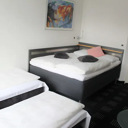 Hotel Hedegaarden 3*