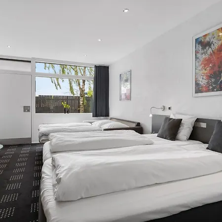 Hotel Hedegaarden 3*