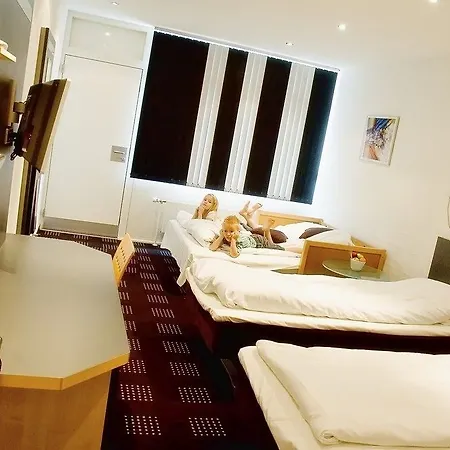 فندق Hedegaarden 3*