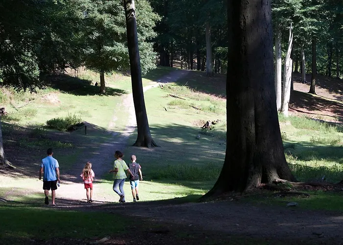 Hedegaarden Szálloda 3*